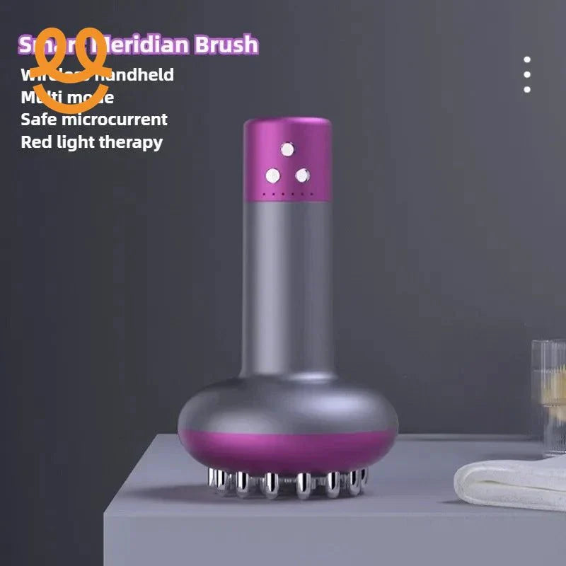 Massager Body Shaping Heating Meridian Scraping brush massager